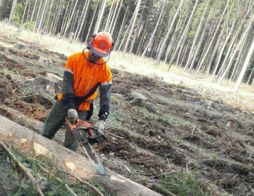 Volný těžař a LKT